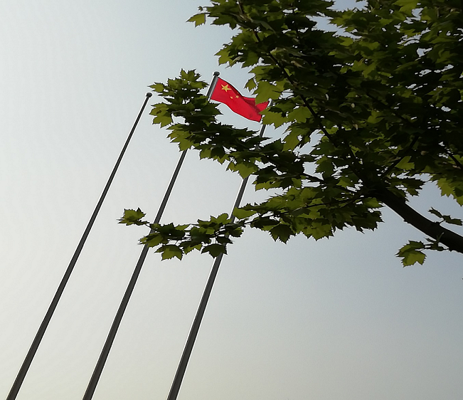 图片1.png
