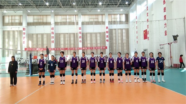 女排1.jpg