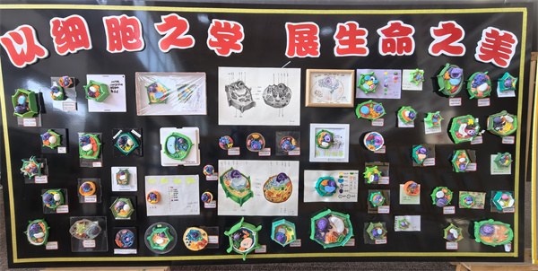 微信图片_20250102135753.jpg 微信图片_20250102135753.jpg